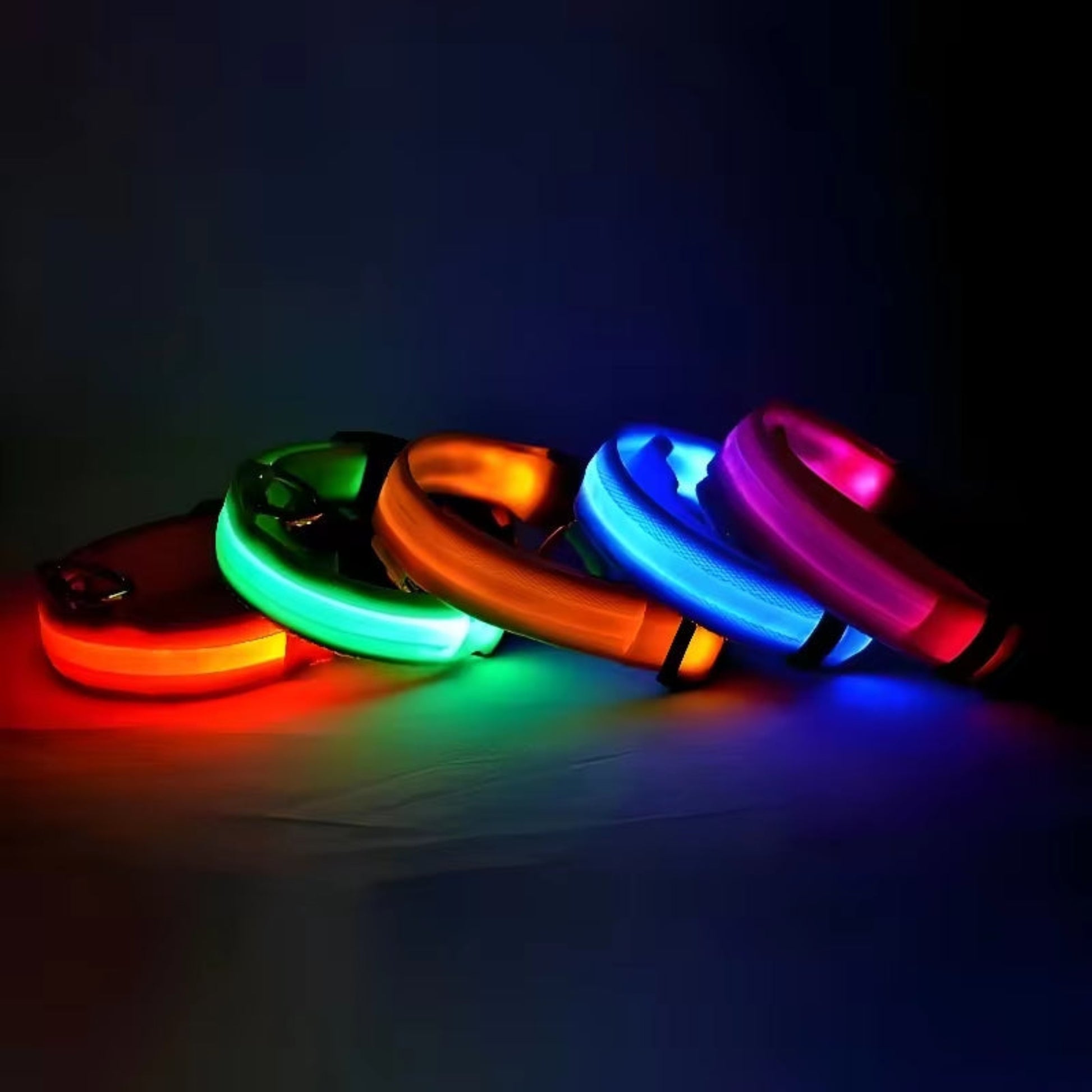 Nighttime Adventures with Fido: Our Flashing Nylon Collar