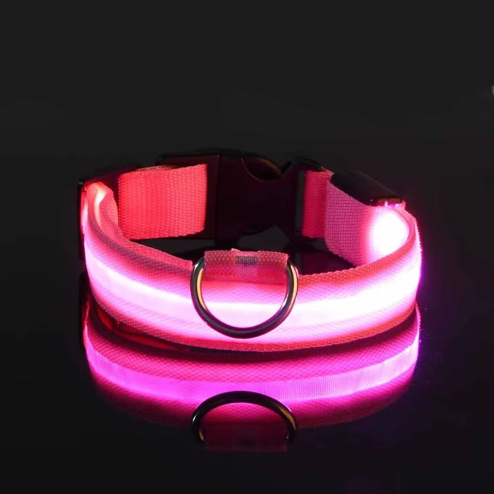 Nighttime Adventures with Fido: Our Flashing Nylon Collar