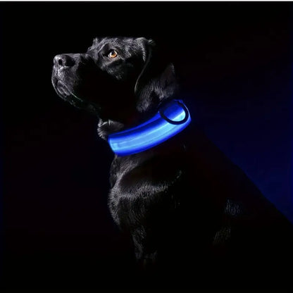 Nighttime Adventures with Fido: Flashing Nylon Dog Collar - Stay Visible, Stay Safe