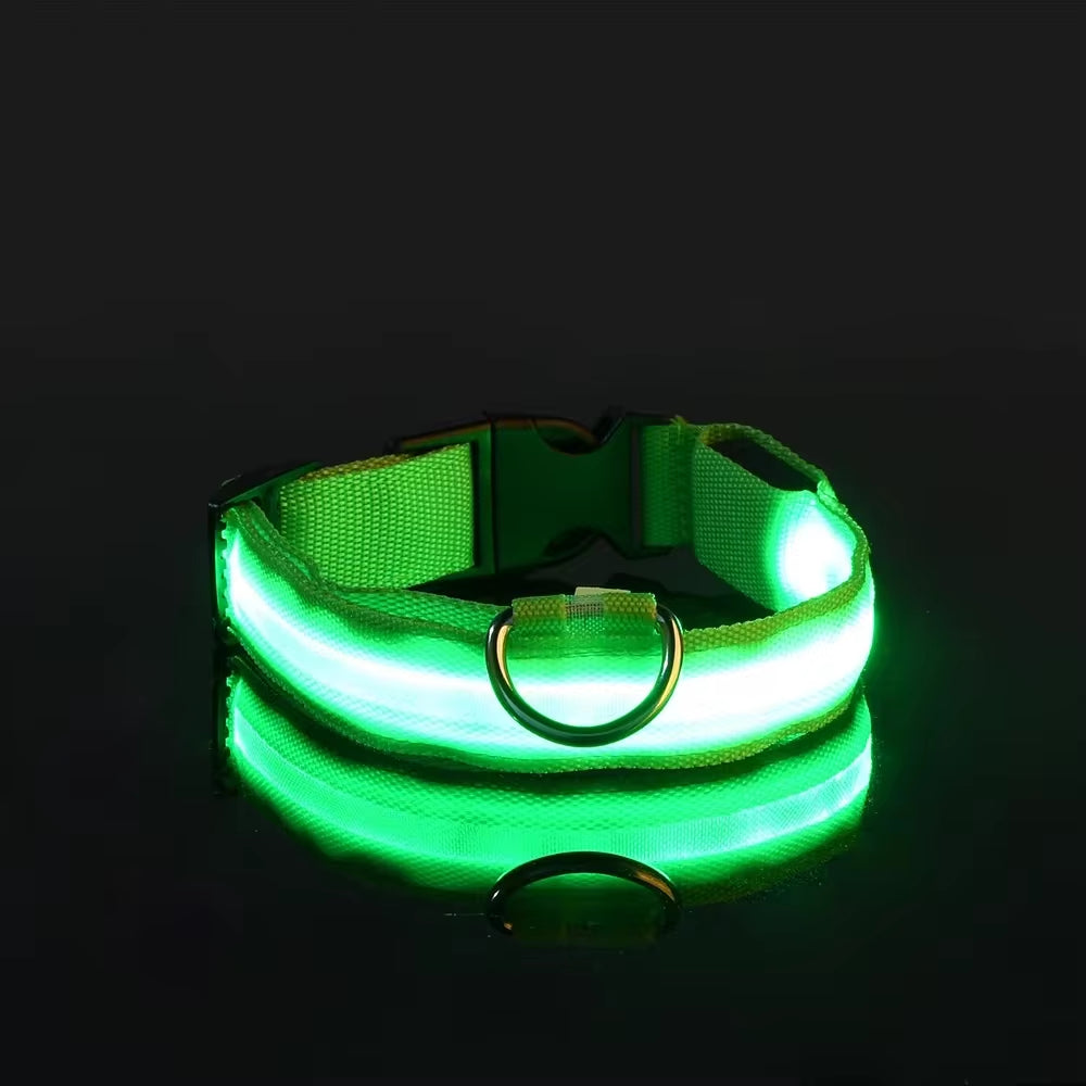 Nighttime Adventures with Fido: Our Flashing Nylon Collar