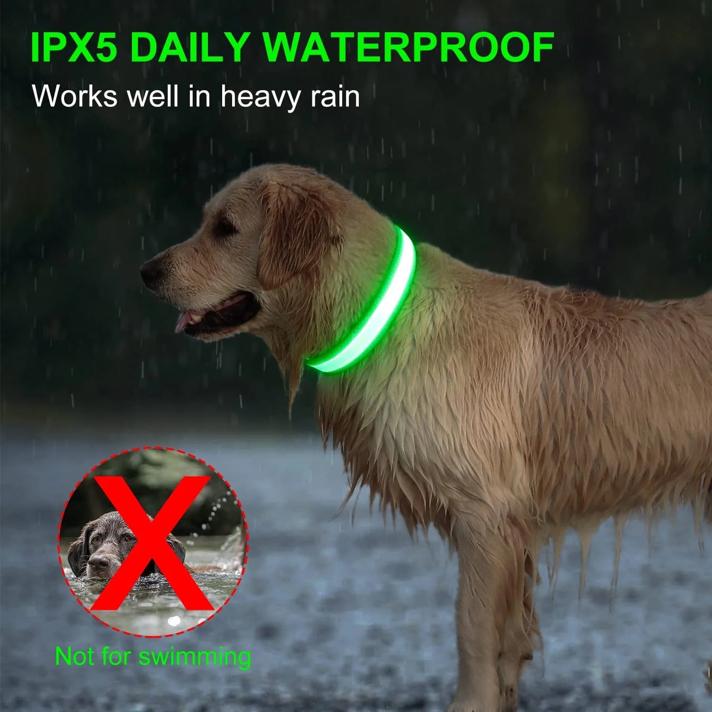Nighttime Adventures with Fido: Flashing Nylon Dog Collar - Stay Visible, Stay Safe