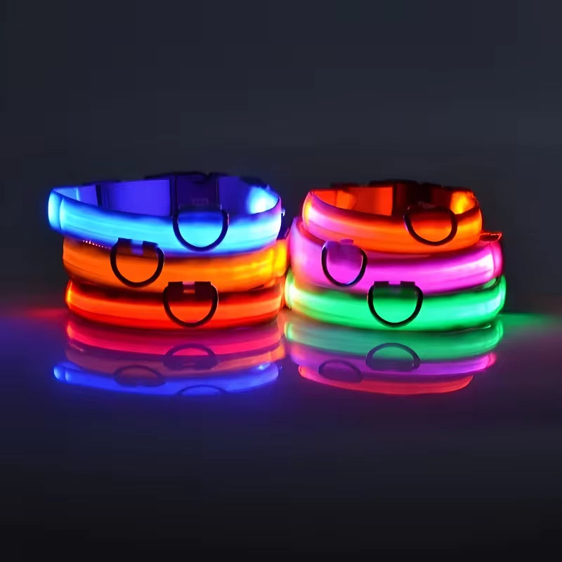 Nighttime Adventures with Fido: Our Flashing Nylon Collar