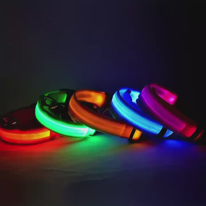 Nighttime Adventures with Fido: Flashing Nylon Dog Collar - Stay Visible, Stay Safe