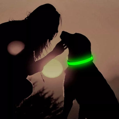 Nighttime Adventures with Fido: Flashing Nylon Dog Collar - Stay Visible, Stay Safe